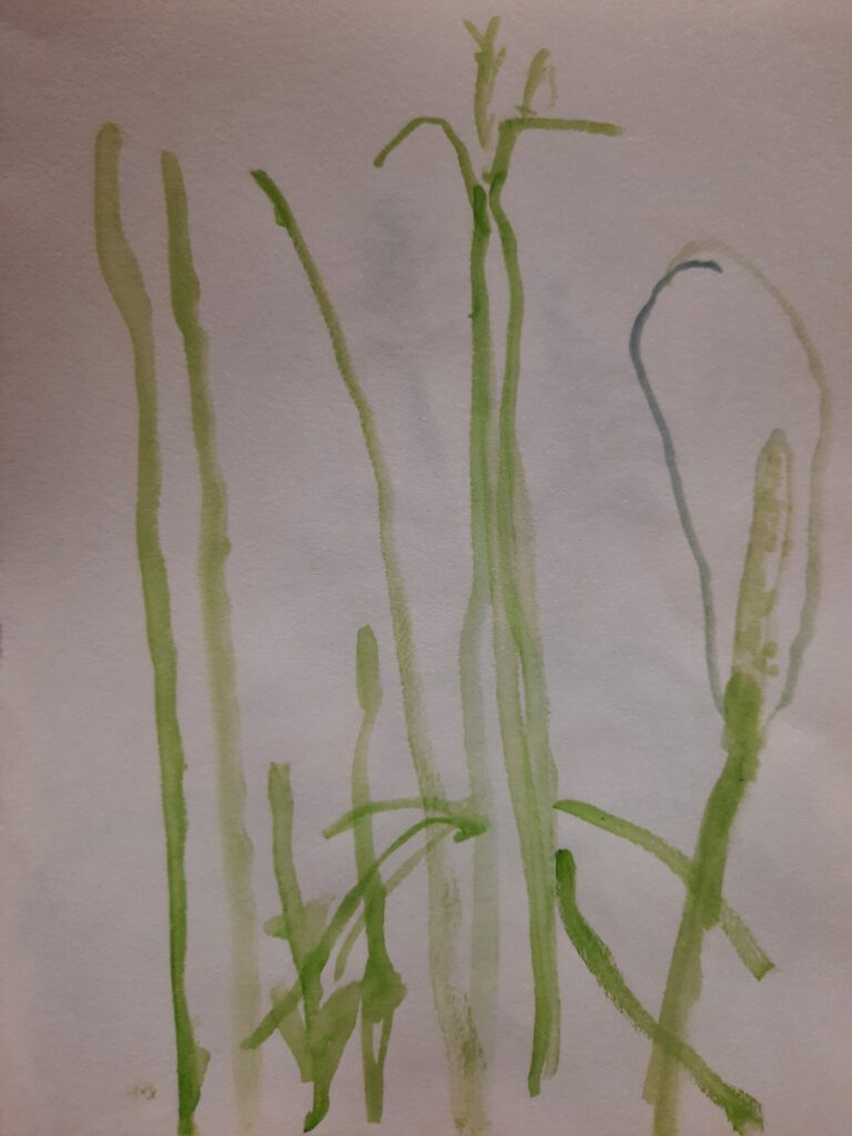 Aquarell - Pflanzenstängel (Botanischer Garten)